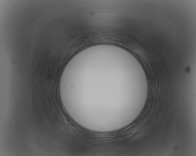 X0000093730415200710160818