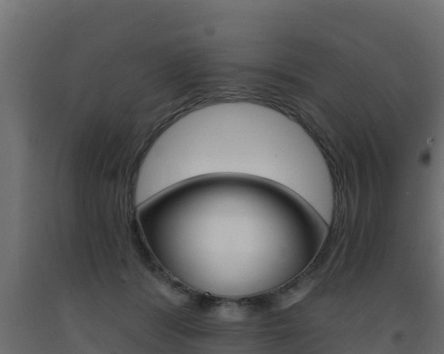 X0000093730416200710160818