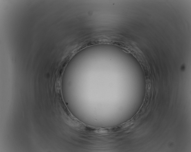 X0000093730419200710160818