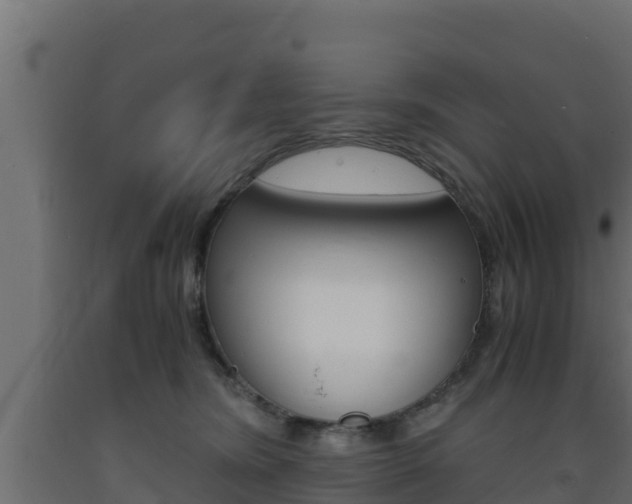 X0000093730420200710160818