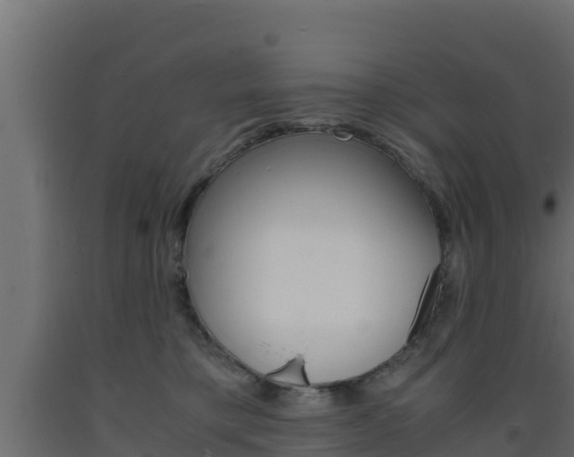 X0000093730421200710160818