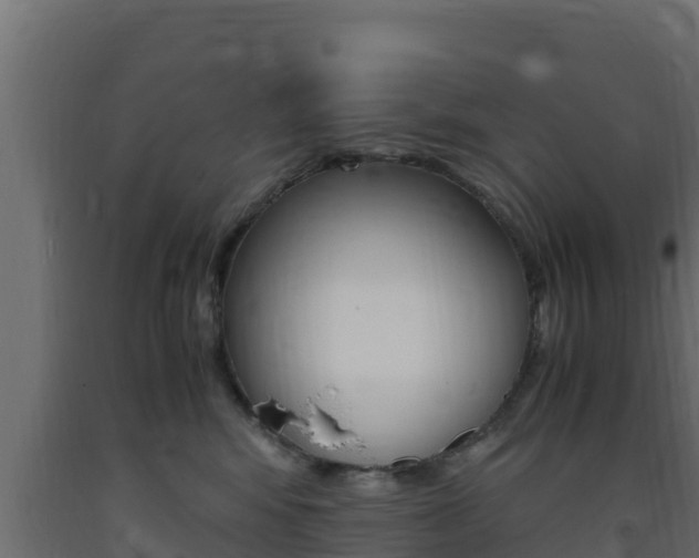 X0000093730424200710160818