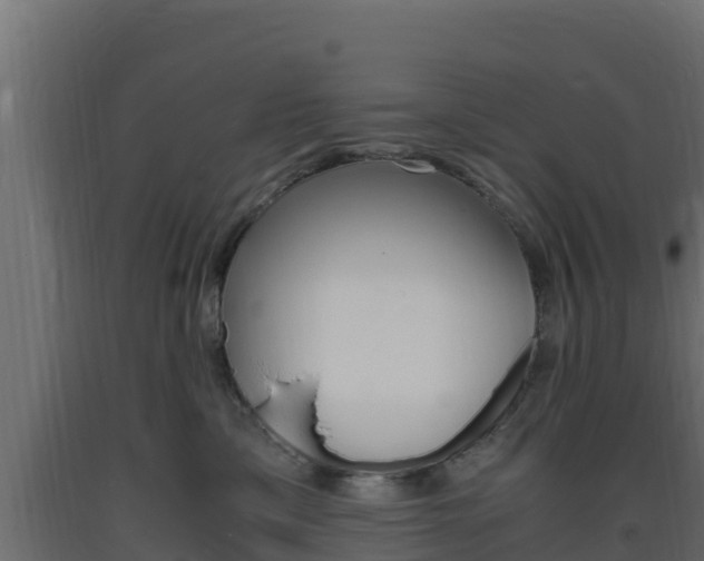 X0000093730425200710160818