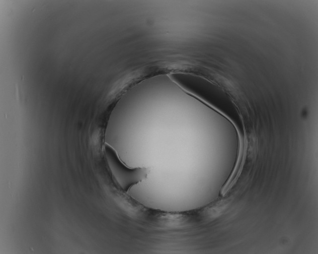 X0000093730428200710160818