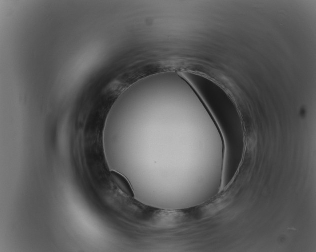X0000093730429200710160818