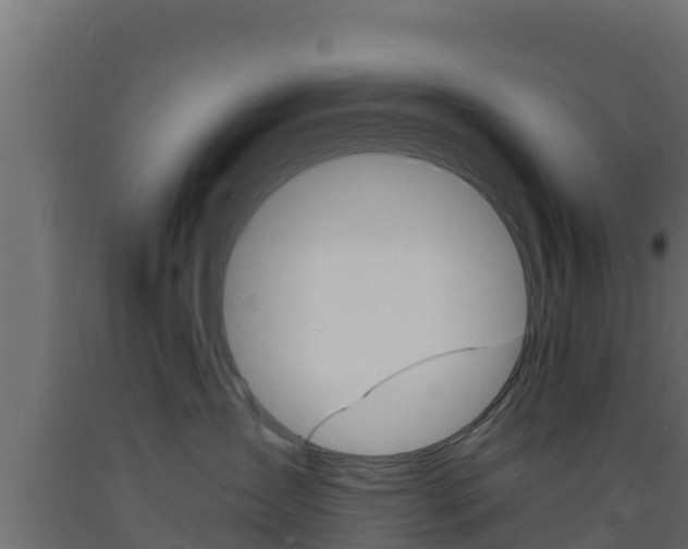 X0000093730431200710160818