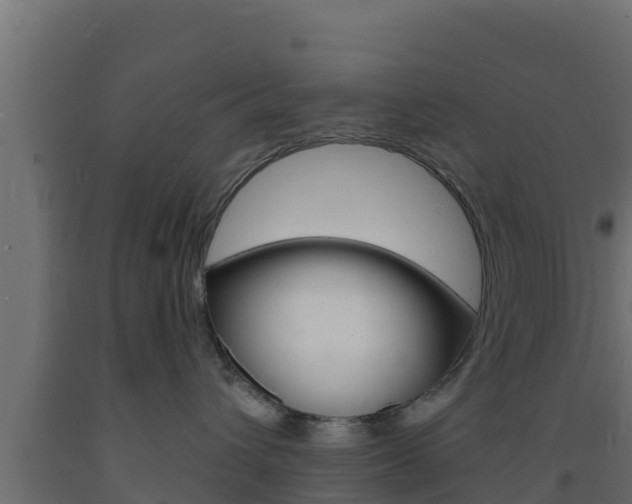 X0000093730432200710160818