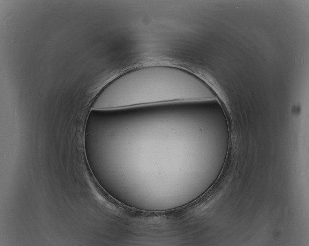 X0000093730433200710160817