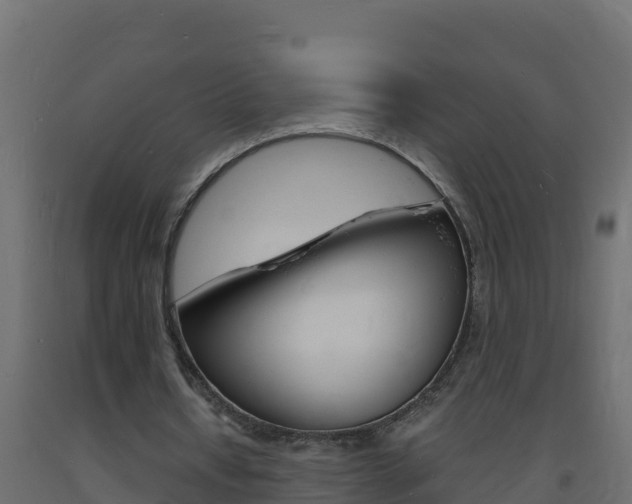X0000093730434200710160817