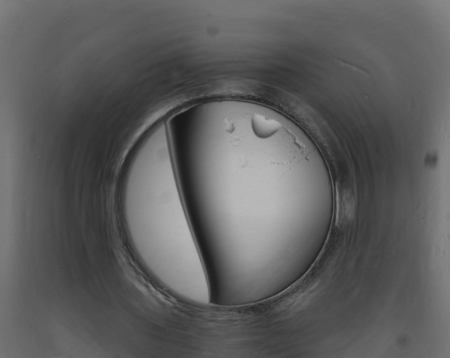 X0000093730435200710160817