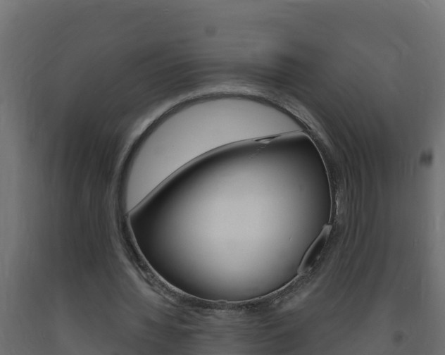 X0000093730436200710160817