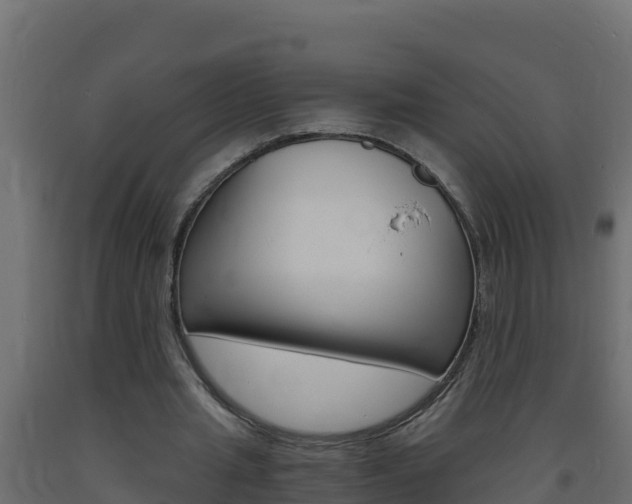 X0000093730437200710160817