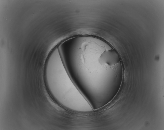 X0000093730438200710160817