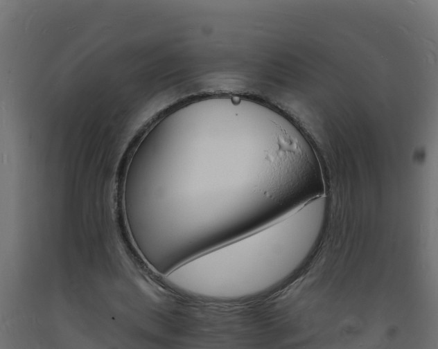 X0000093730439200710160817