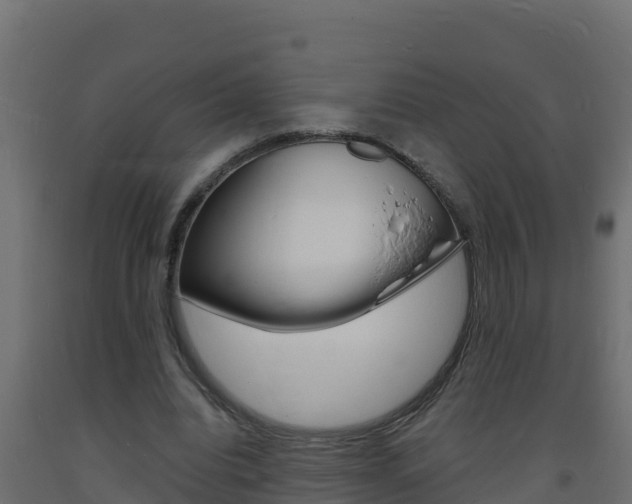 X0000093730440200710160817