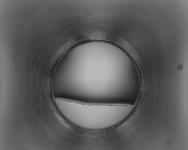 X0000093730441200710160817
