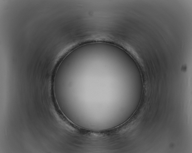 X0000093730442200710160817