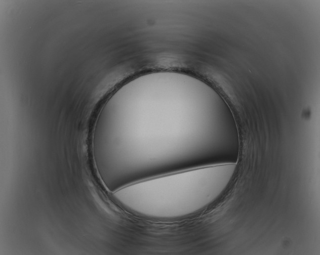 X0000093730443200710160817