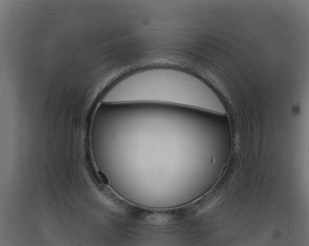 X0000093730444200710160817