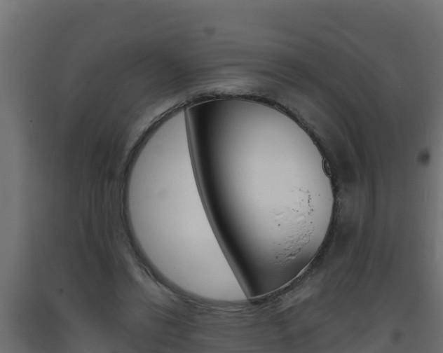 X0000093730446200710160817