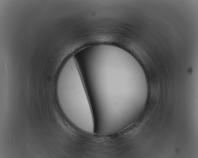 X0000093730447200710160817