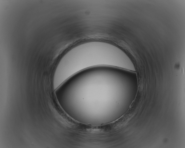 X0000093730448200710160817
