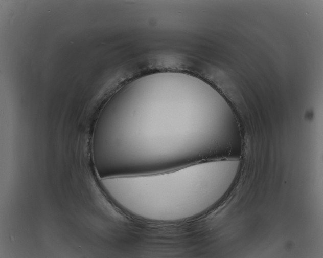 X0000093730449200710160817