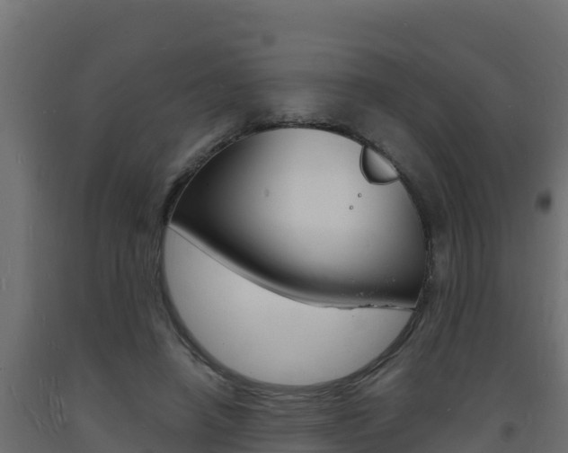 X0000093730450200710160817