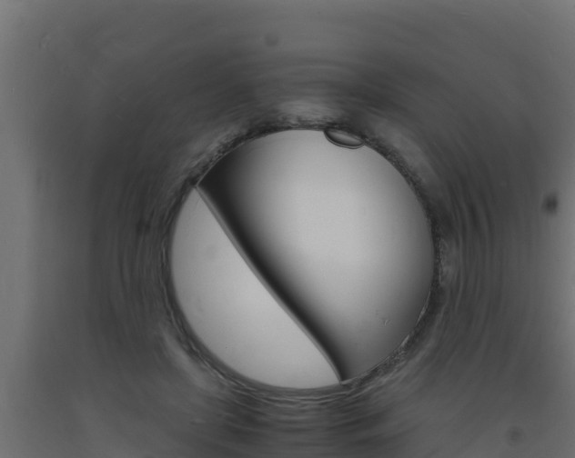 X0000093730451200710160817