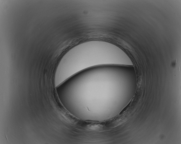 X0000093730452200710160817