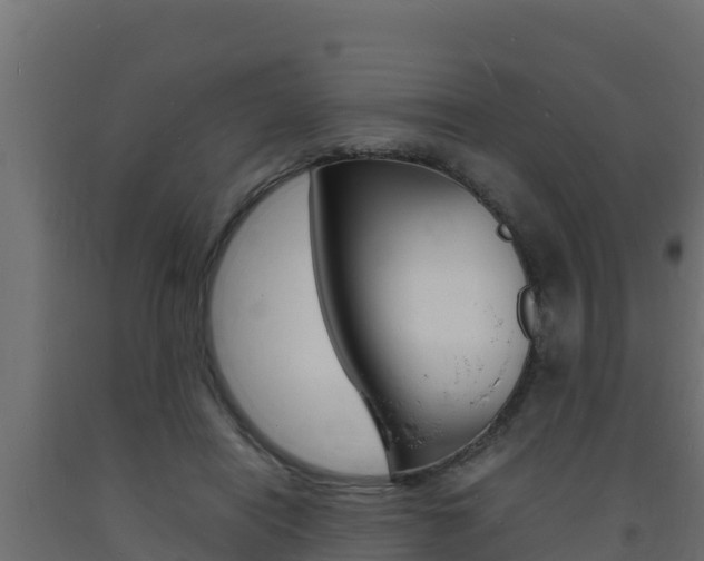 X0000093730454200710160817