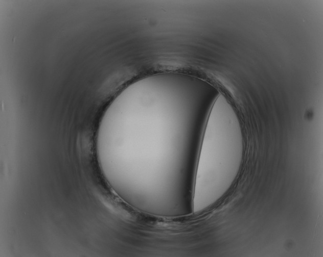 X0000093730455200710160817