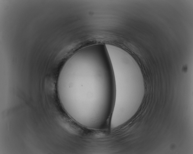 X0000093730456200710160817