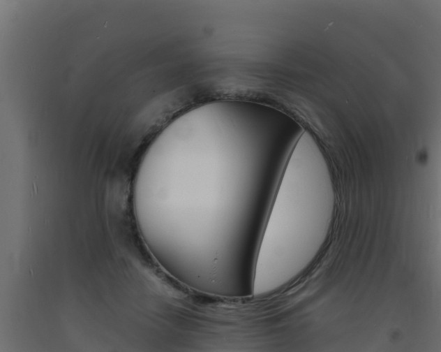X0000093730458200710160817