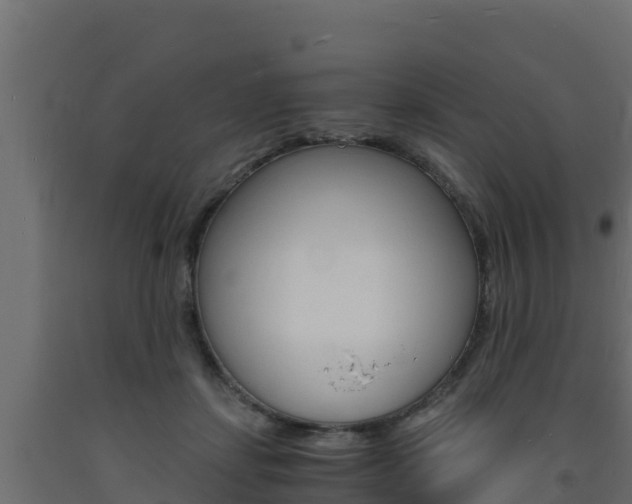 X0000093730459200710160817