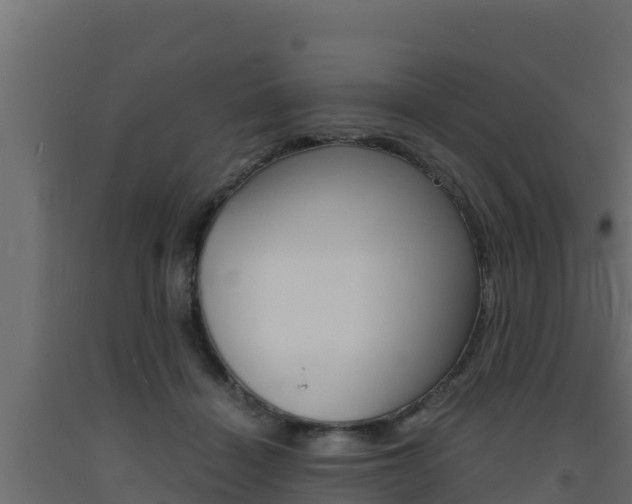 X0000093730460200710160817