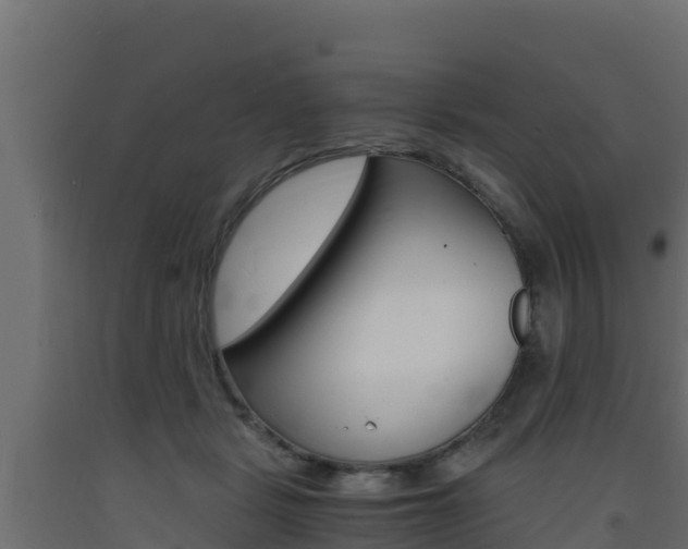 X0000093730461200710160817