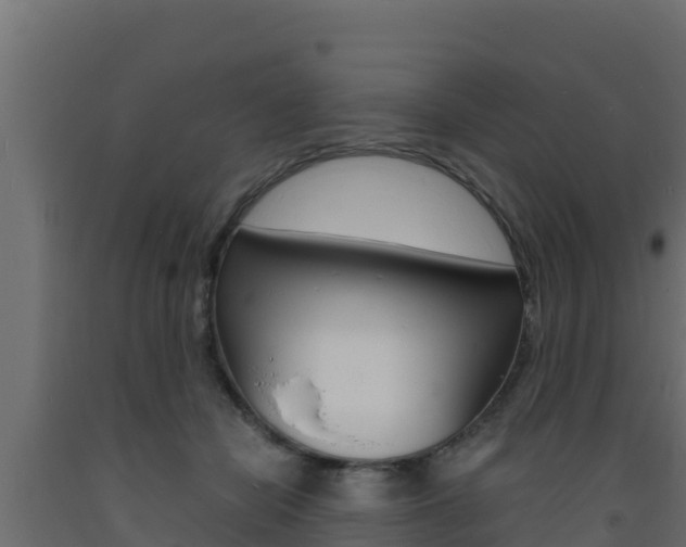 X0000093730462200710160817