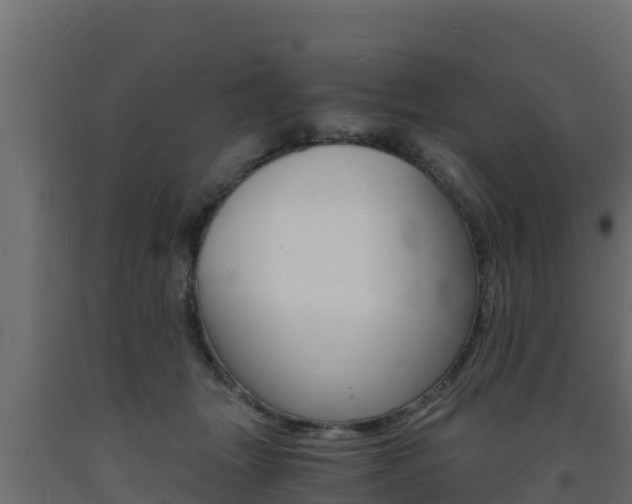 X0000093730463200710160817