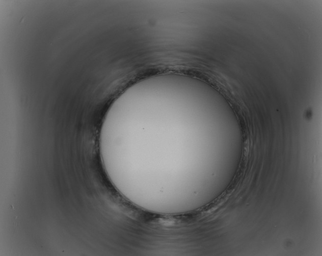 X0000093730464200710160817