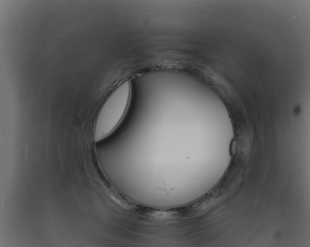 X0000093730465200710160817