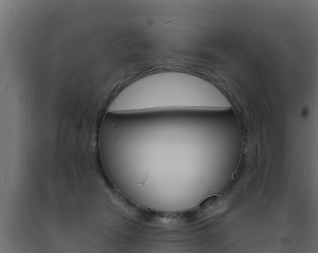 X0000093730466200710160817