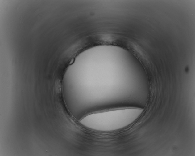 X0000093730467200710160817
