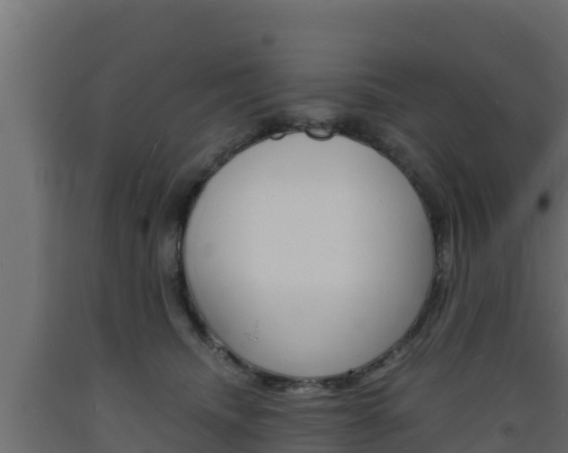 X0000093730468200710160817