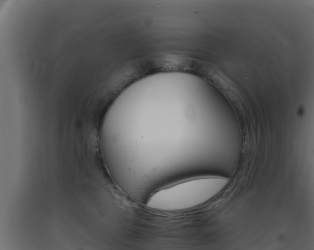 X0000093730469200710160817
