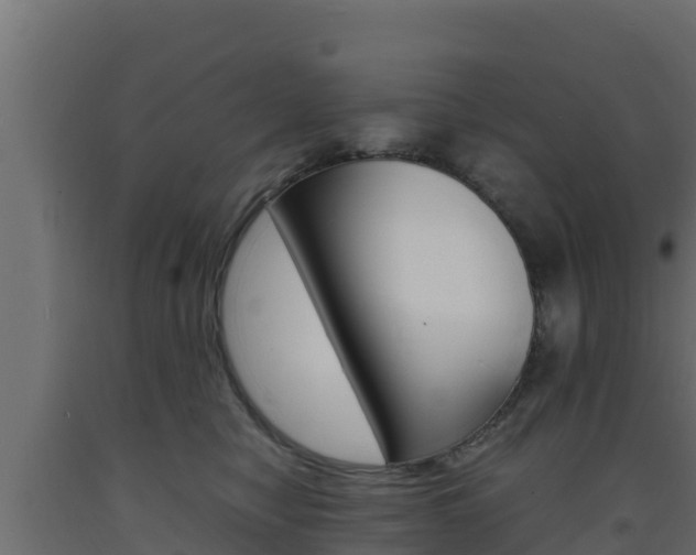 X0000093730470200710160817