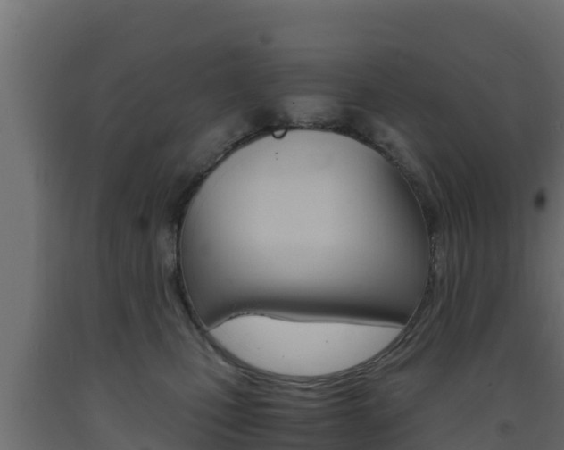 X0000093730471200710160817