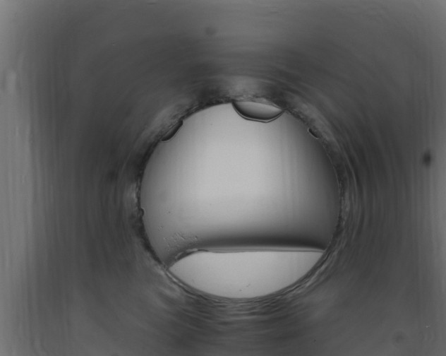 X0000093730473200710160817