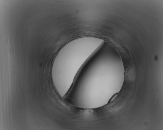 X0000093730474200710160817