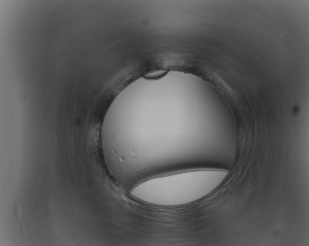 X0000093730475200710160818